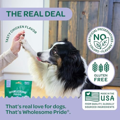 Wholesome Pride Hip & Joint Supplement for Dogs – 90 Soft Chews – Glucosamine, Chondroitin, MSM & Turmeric – Mobility Support & Arthritis Relief for Growing, Adult & Senior Dogs