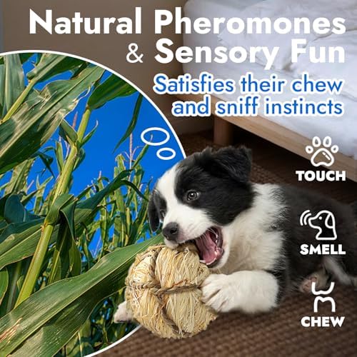 Natural Dog Chew Toys, 12pcs Woven Grass Chew Balls for Dogs, Dental Teething Toys & Interactive Fetch Toys, Outdoor Rattan Digestible Chew Ball for Boredom Relief and Teeth Cleaning