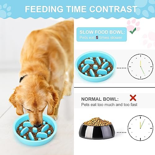 Slow Feeder Dog Bowls 3 in 1 Stainless Steel Food Water Bowl to Slow Eating