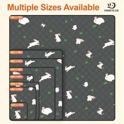 2-Pack Guinea Pig Cage Liner, 18in x 24in Fast Absorption Washable Bedding Pee Pads for Dogs Puppy Rabbit Small Animal Cage Mat, Leakproof & Non-Slip