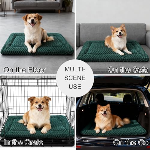 Dog Bed Mat - Dog Crate Pad - Reversible Mat for Pet Comfort - Soft Bed Crate Pads for All Seasons - Durable, Machine Washable Mat for Crates, Travel, and Home (Dark Green, 30" L*20" W*1.5" Th)
