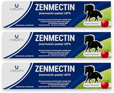 Equine Paste Gel 1.87% – Apple Flavored Oral Gel for Horses – 6.08g Pre-Filled Syringes with Weight Markings – 3-Pack Convenient Supply