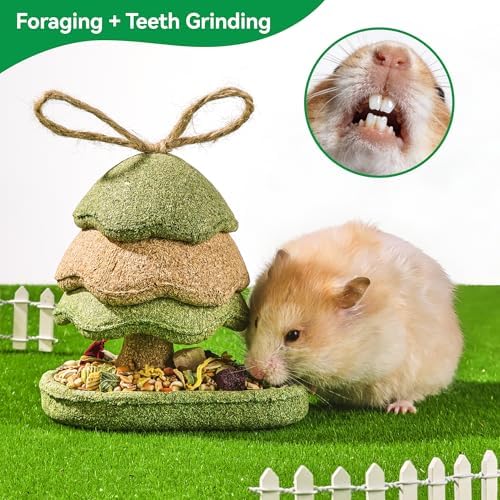 Guinea Pig Toys 2 Pack Guinea Pig Chew Toys Rabbit Treats Hamster Toys