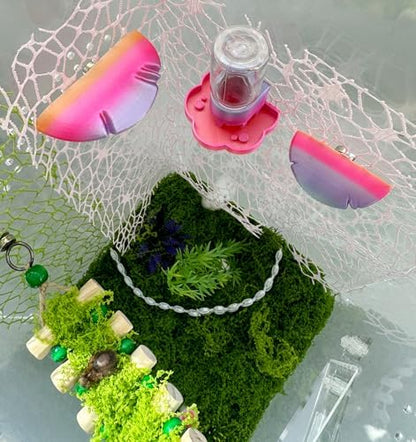 5Pcs Jumping Spider Accessories Set, Jumping Spider Enclosure Mushroom And Water Dispenser, Jumping Spider Web with Magnets, Jumping Spider Enclosure Climbing and Feeding Platforms (pink+purple)