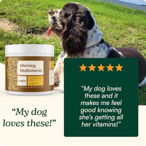 Reggie Morning Multivitamins for Dogs | Daily Dog Vitamin Chews with Vitamins & Minerals for Immunity, Heart, Skin, Coat, Joints & Digestion | Vet-Approved, Natural Dog Supplement | 60 Soft Chews
