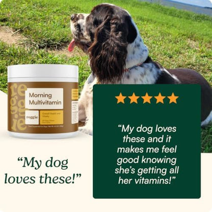 Reggie Morning Multivitamins for Dogs | Daily Dog Vitamin Chews with Vitamins & Minerals for Immunity, Heart, Skin, Coat, Joints & Digestion | Vet-Approved, Natural Dog Supplement | 60 Soft Chews