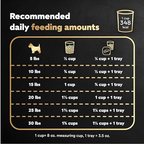 Cesar Small Breed Dry Dog Food for Small Dogs,Rotisserie Chicken Flavor and Spring Vegetables Garnish,12 lb Bag,(Pack of 2)