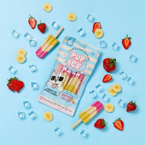 SPOT Pup Ice- Ready to Freeze at Home Dog Treats-Edible Chews for Medium Breed Dogs & Puppies with Real Chicken to Keep Your Pup Cool Year Round, Rocket Lollies Strawberry and Banana Flavor, 2pcs