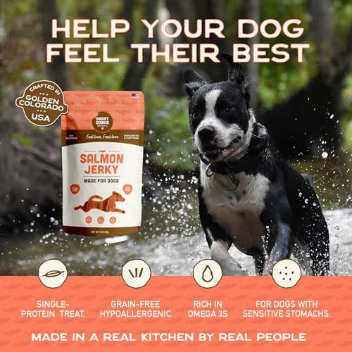 Smart Cookie Salmon Jerky Dog Treats - DHA & Omega Strips for Dogs & Puppies with Allergies, Sensitive Stomachs with Wild Caught Alaskan Salmon- Dehydrated, Grain Free, Made in USA - 3oz Bag Pack of 1