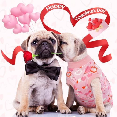 Kuoser Recovery Suit for Dogs After Surgery, Female Dog Onesie for Surgery