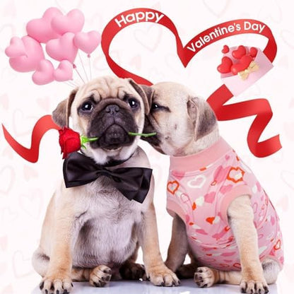 Kuoser Recovery Suit for Dogs After Surgery, Female Dog Onesie for Surgery