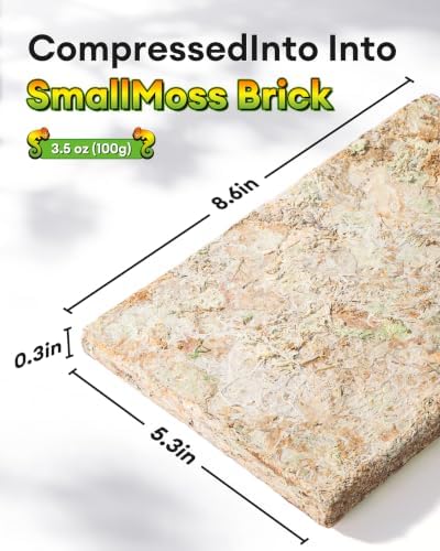 Sphagnum Moss for Reptiles & Plants, 3.5 OZ Terrarium Moss Bedding