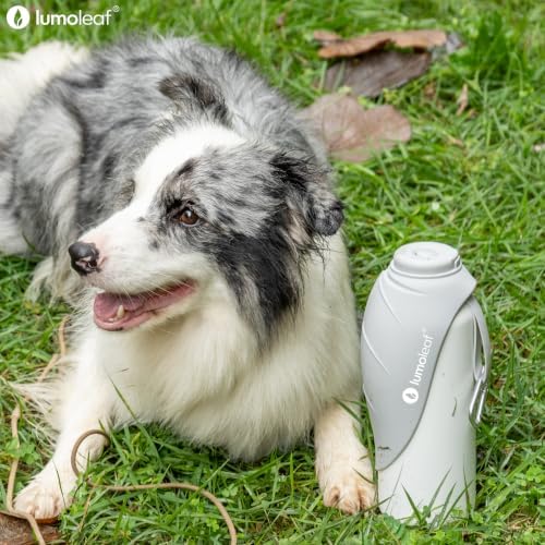 LumoLeaf Insulated Dog Water Bottle 27 oz Stainless Steel - Keep Water Cool or Warm, Portable Pet Water Bowl for Travel, Wide Mouth for Easy Ice Filling & Cleaning (Grey, 27 oz)