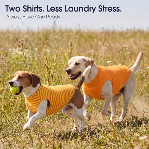 IECOii 2 Pack Dog Surgery Recovery Shirt Sleeveless Lightweight Dog Tshirt