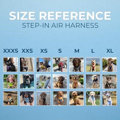 Best Pet Supplies - All Weather Mesh/Plush, Reflective, No Pull Harness for Small, Medium Dogs, Cats - Secure with Hook & Loop Fastener, Buckle, Double D-Rings - Lavender, L