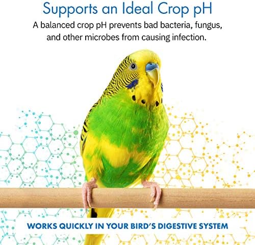 HealthyGut™ Avian Probiotics Dietary Supplement for Parrots, All-Natural Digestive System Formula (120 Servings)