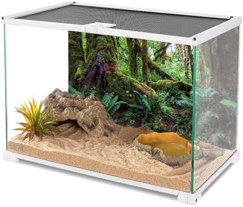 36x24 in Terrarium Backdrop Rainforest Moss Tree Reptile Habitat Background