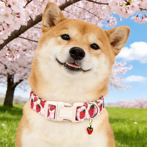 Lionheart glory Dog Collar - Cute Dog Collars Adjustable Soft Dogs Collar Strawberry Flowers Pattern Pet Collars for Small Dogs Male Female Spring Holiday