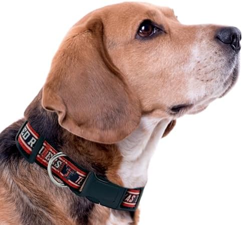 Pets First Collegiate PET Collar NEW VERSION Texas Tech Red Raiders Dog Collar, Size Small. Best Sports Team Color for Dogs & Cats. A Shiny & Colorful Dog & Cat Collar Licensed by The NCAA