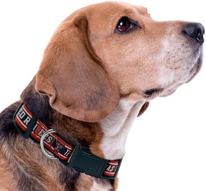 Pets First Collegiate PET Collar NEW VERSION Texas Tech Red Raiders Dog Collar, Size Small. Best Sports Team Color for Dogs & Cats. A Shiny & Colorful Dog & Cat Collar Licensed by The NCAA