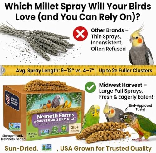 Nemeth Farms Spray Millet - Edible Tops Only, Non-GMO and Sun-Dried - 2 lbs for Cockatiels, Lovebirds and Budgies