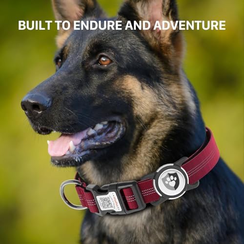 Waterproof AirTag Dog Collar with QR Code Dog Tag, Burgundy M