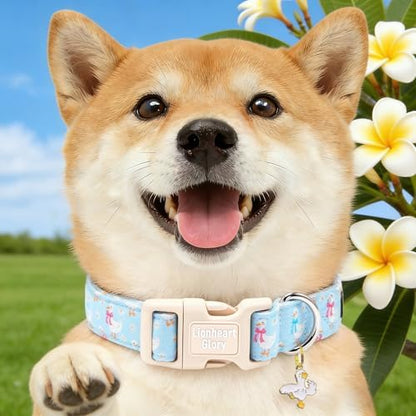 Lionheart glory Dog Collar - Spring Cute Dog Collars Sturdy Adjustable Soft Collar Blue Ducky Pattern for Small Dogs Puppy Male Female Holiday Pet Collars