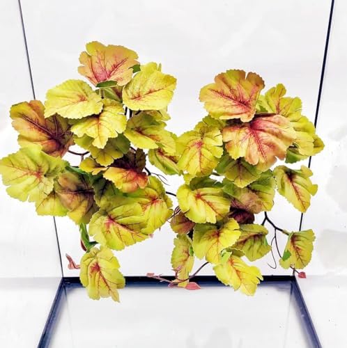 Reptile Plants for Terrarium, Reptile Tank Decor,Artificial Plants