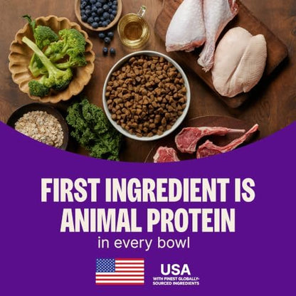 Wellness CORE Small Breed Adult Dry Dog Food, Grain Free Kibble, Natural, High Protein, Turkey and Chicken Recipe, 4 lb Bag