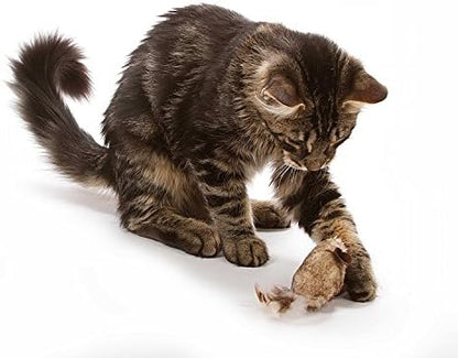 OurPet's Play-N-Squeak Twice the Mice Cat Toy, 2 Pack, with Catnip Inside