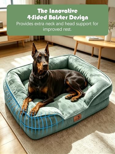 Spotted Play Orthopedic Dog Bed with Sides - Sofa Beds for Extra Large Dogs, Supportive Foam Pet Couch Bed with Washable Removable Cover, Waterproof Lining and Non-Slip Bottom, Green - XL-Plus