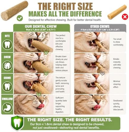 15pcs Freeze Dried Cat Chew Sticks Kitten Beef Treats for Teeth