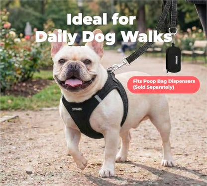 Best Pet Supplies Voyager Nylon Dog Leash - Black, Medium