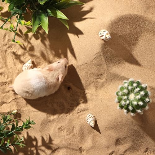 BUCATSTATE Hamster Bath Sand with Pour Spout, 6.6LB Desert Bath Sand | No-Dust Potty Litter Calcium-Free Sand for Hamster Chinchillas Gerbil Mice Degu or Other Small Pets (Fine Sand)