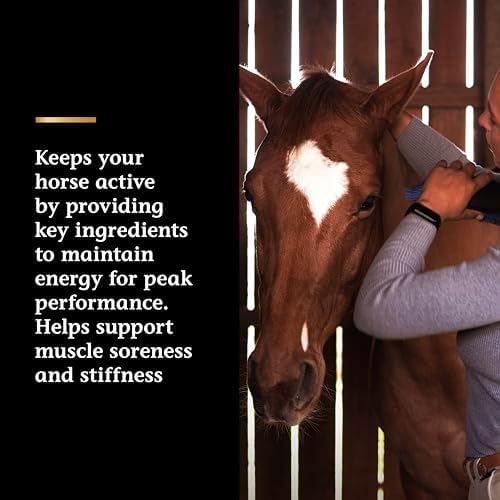 Vita Flex Pro Lactanase Pre Performance Horse Supplement, 25g Packets