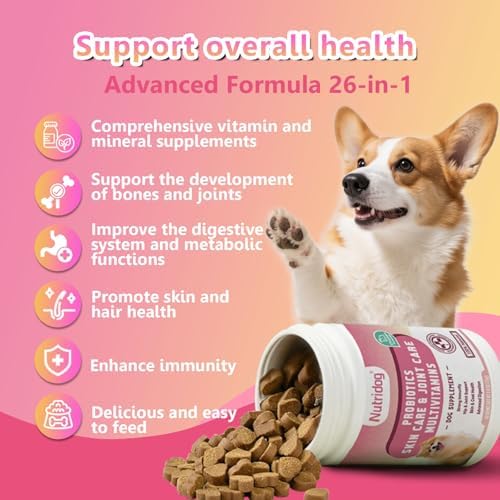 26-in-1 Dog Multivitamin Chews – Glucosamine, MSM