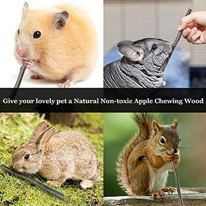 ANDES Natural Apple Sticks, Molar Chew Toys for Rabbit Bunny10oz(300g)