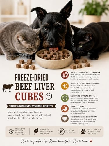 Freeze Dried Single Source Beef Liver Cubes Dog & Cat Treats Food Topper - Raw Bits Training Treasure, Possess Strong Aroma & Flavor Encourage Picky Eaters, High-Protein Recipe (2.0 oz, Beef Liver)