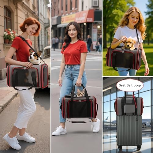 EliteField Soft-Sided Pet Carrier for Cats & Small Dogs (3-Year Warranty)
