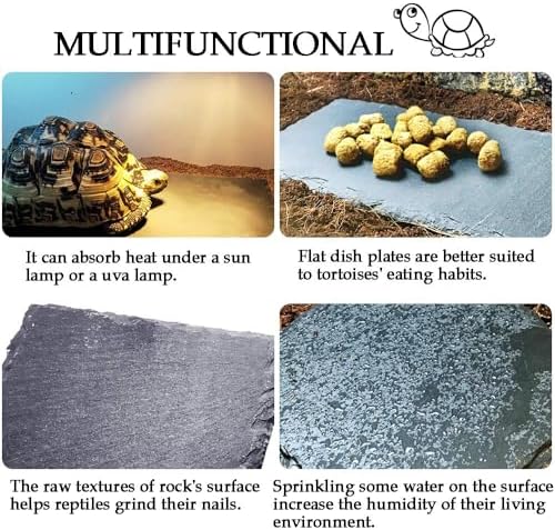 kathson Reptile Basking Platform (7.9 x 11.8 inches), Natural Rock Plate Turtle Food Bowl Feeding Dish Resting Terrace Habitat Decor for Tortoise Turtle Lizard Bearded Dragon Crested Gecko Snake