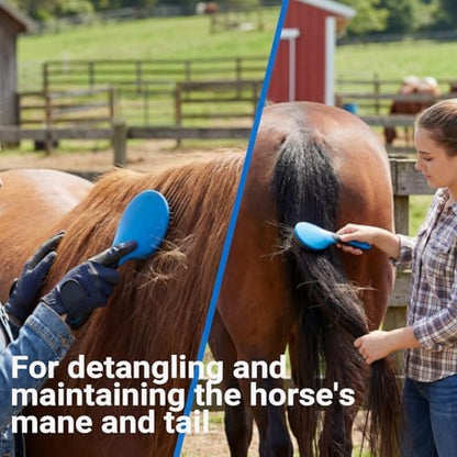 13 Piece Horse Grooming Kit, Horse Brushes for Grooming Supplies with Portable Bag, Horse Brush Set & Curry Comb for Effective Bathing and Massaging, Gift for Horses Riders Beginners (Blue)