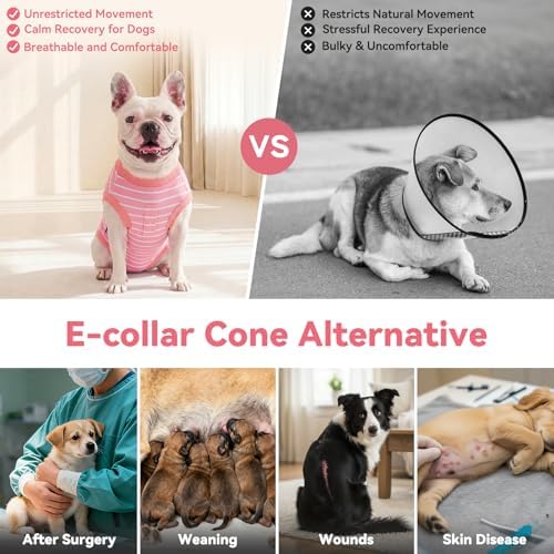 cyeollo Dog Surgery Recovery Suit, Surgical Onesie for Female & Male Dogs