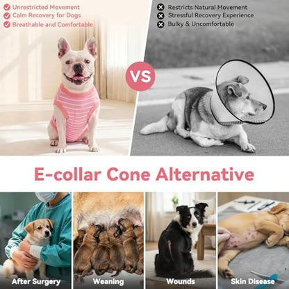 cyeollo Dog Surgery Recovery Suit, Surgical Onesie for Female & Male Dogs