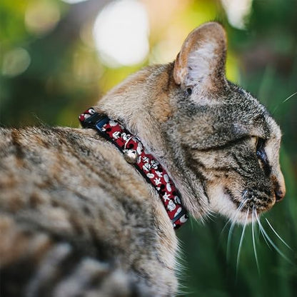 Disney Breakaway Cat Collar