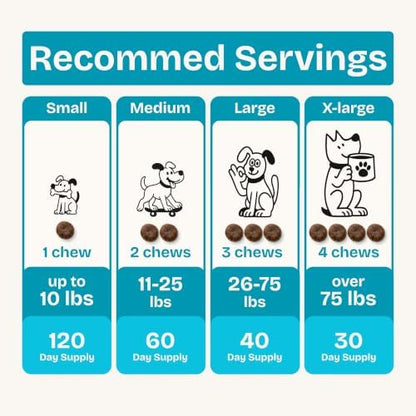Precise Daily Probiotic for Dogs – Soft Chews with Pumpkin, Papaya & 6-Strain Probiotic Blend – Digestive, Gut & Immune Health Support – 120 Chews, Chicken Flavor