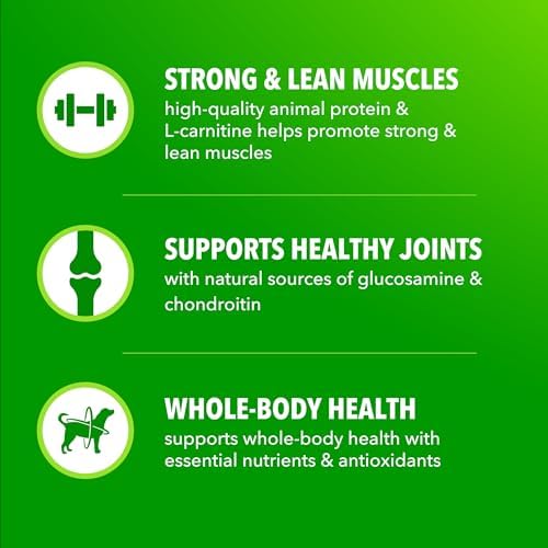 IAMS Proactive Health High Protein Dry Dog Food, Chicken & Beef, 5 lb