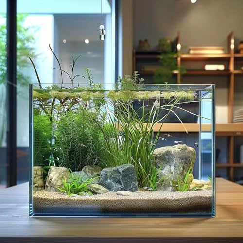 Vimvins 5 Gallon Glass Fish Tank, Easy to Maintain Small Aquarium for Betta/Goldfish/Snails/Shrimp and Aquatic Planting.