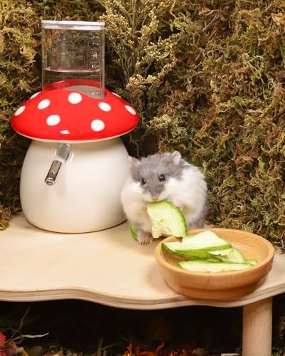 Niteangel Hamster Snack & Treats Toy: Freeze-Dried Zucchini & No Additive