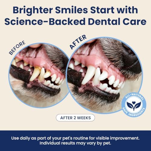 Dental Powder for Dogs Teeth Fresh Breath and Teeth Cleaning Contains Natural Ingredients and Probiotics Dental Powder Dog Tartar and Plaque Removes Tooth Cleaner for Dogs 120g (60-Day Supply)