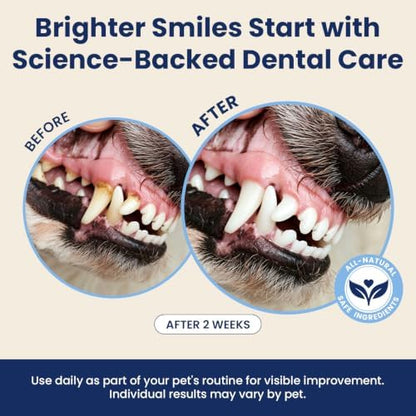 Dental Powder for Dogs Teeth Fresh Breath and Teeth Cleaning Contains Natural Ingredients and Probiotics Dental Powder Dog Tartar and Plaque Removes Tooth Cleaner for Dogs 120g (60-Day Supply)